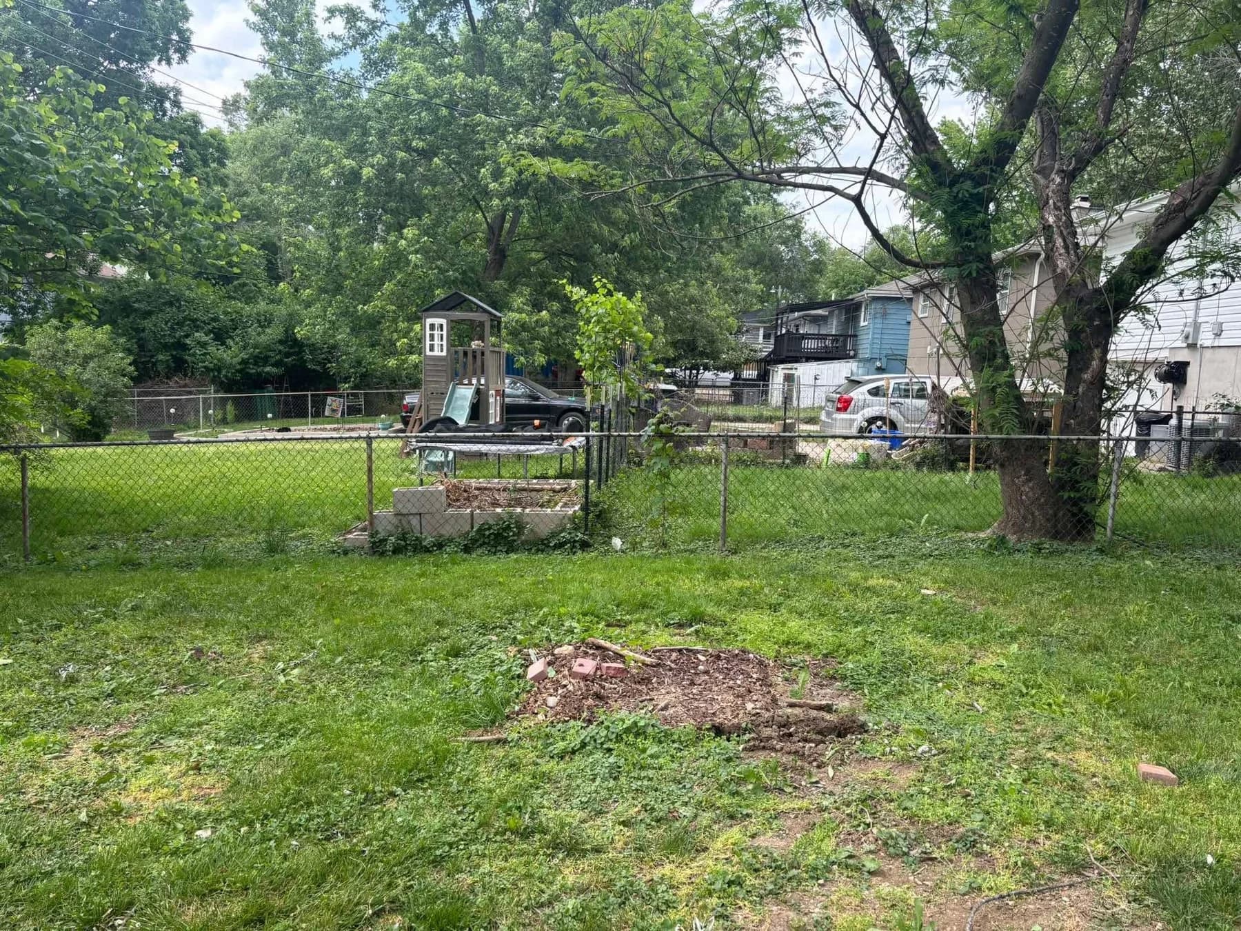 Open yard after removal and cleanup