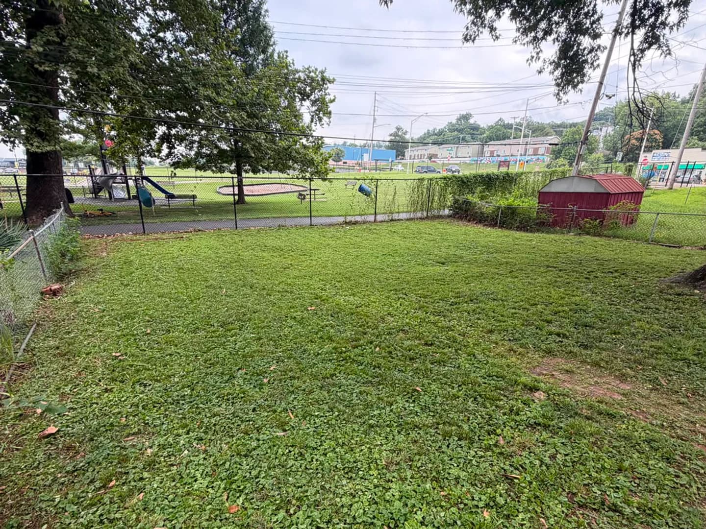 Backyard lawn before the final mowing pass