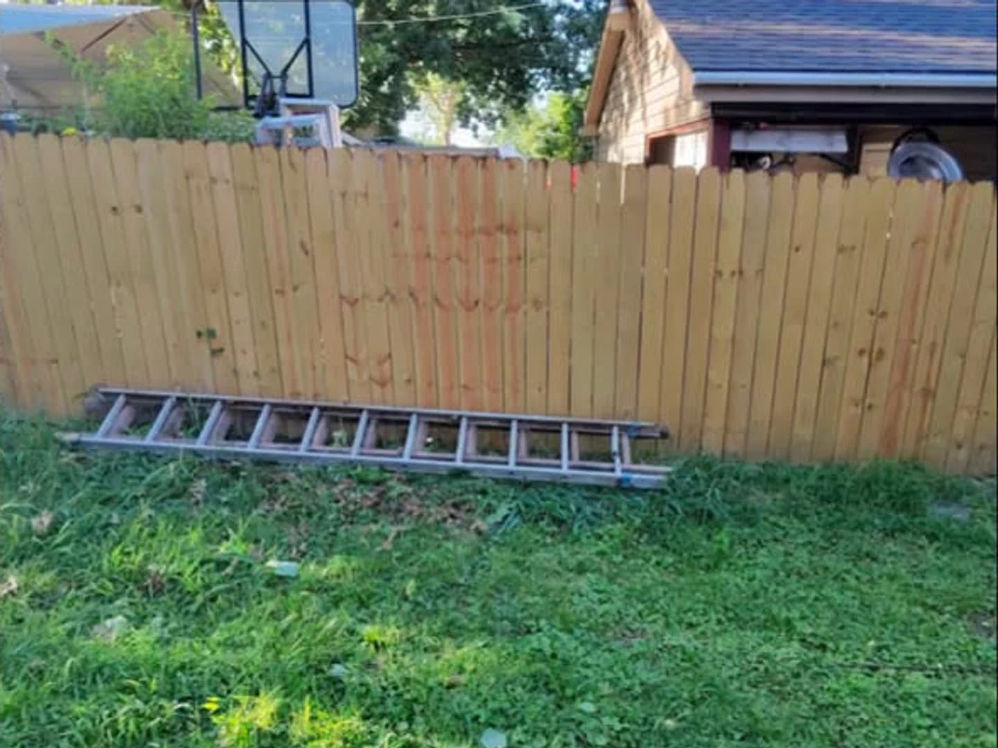 Fence line after tall plants were trimmed