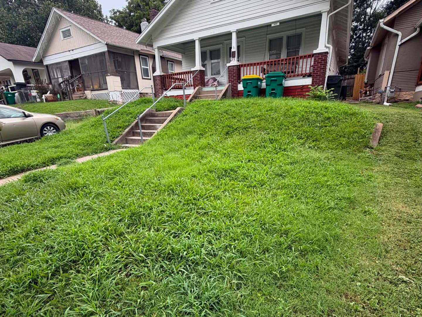 Front lawn with tall uneven grass before mowing