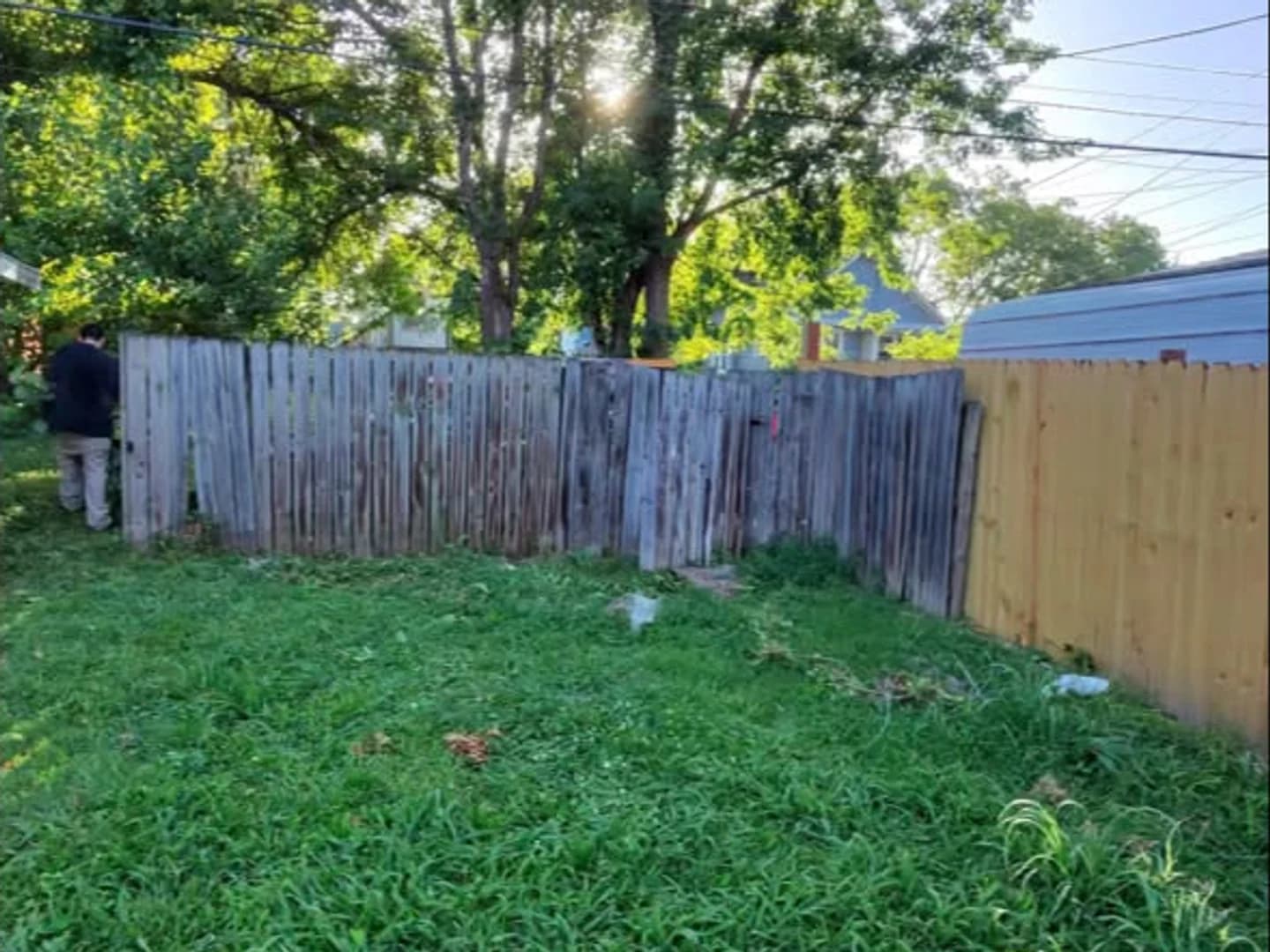 Rear property line after overgrowth was cleared